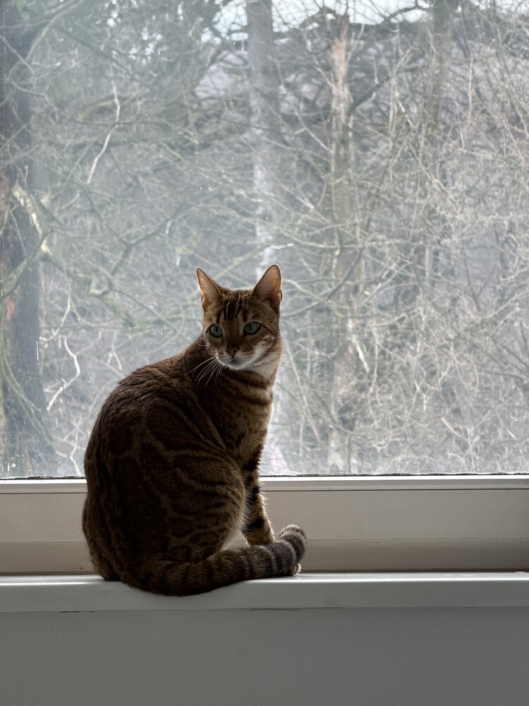 Photograph by Liudmila Lapochkina