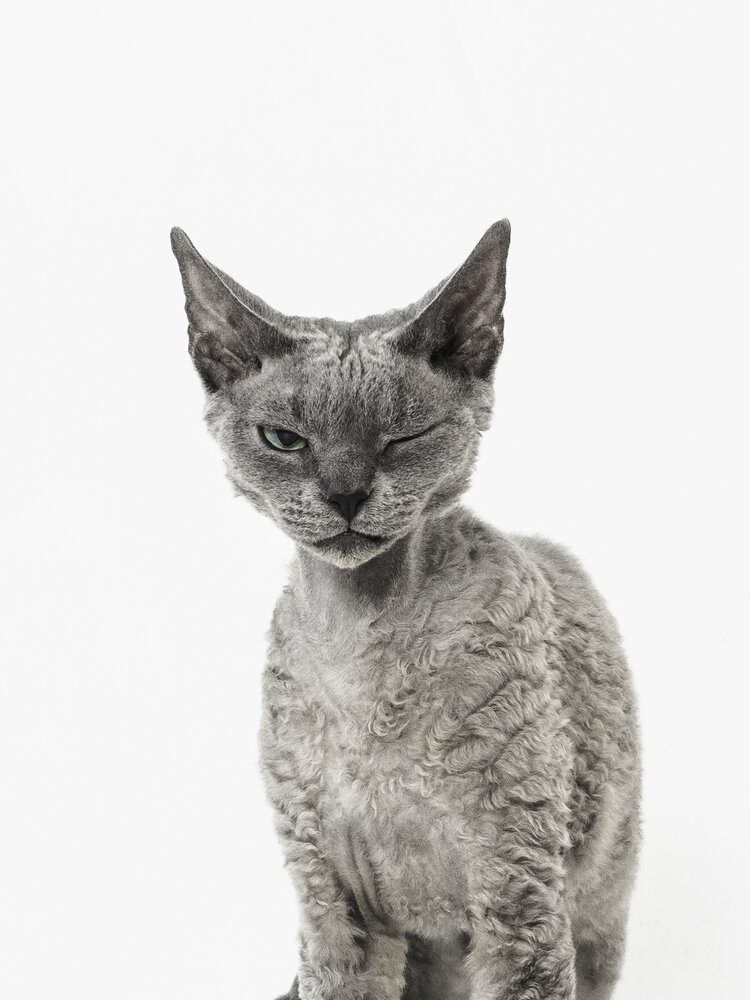 Photograph by Дарья Быстрицкая