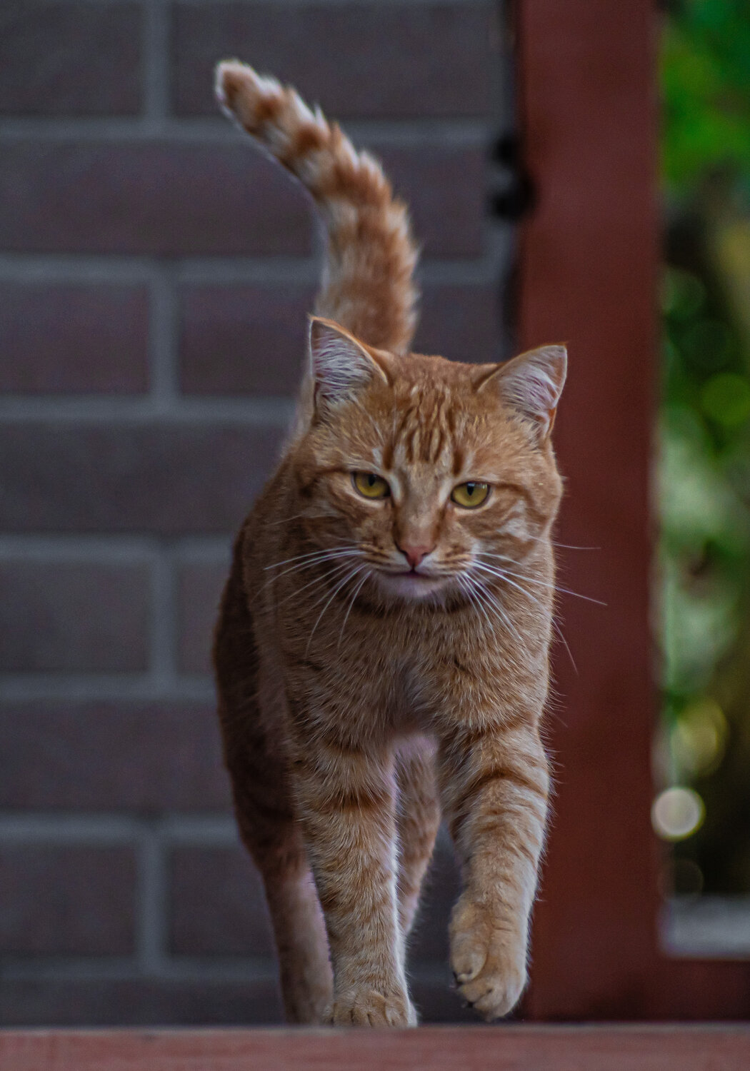 Photo #14050431