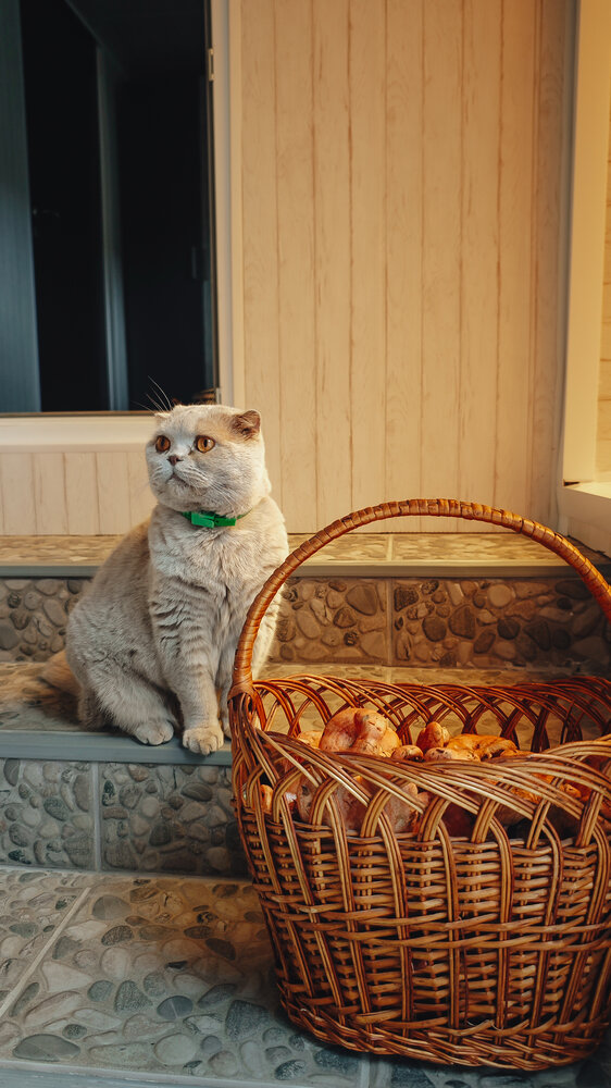 Photograph by Анна Лисина