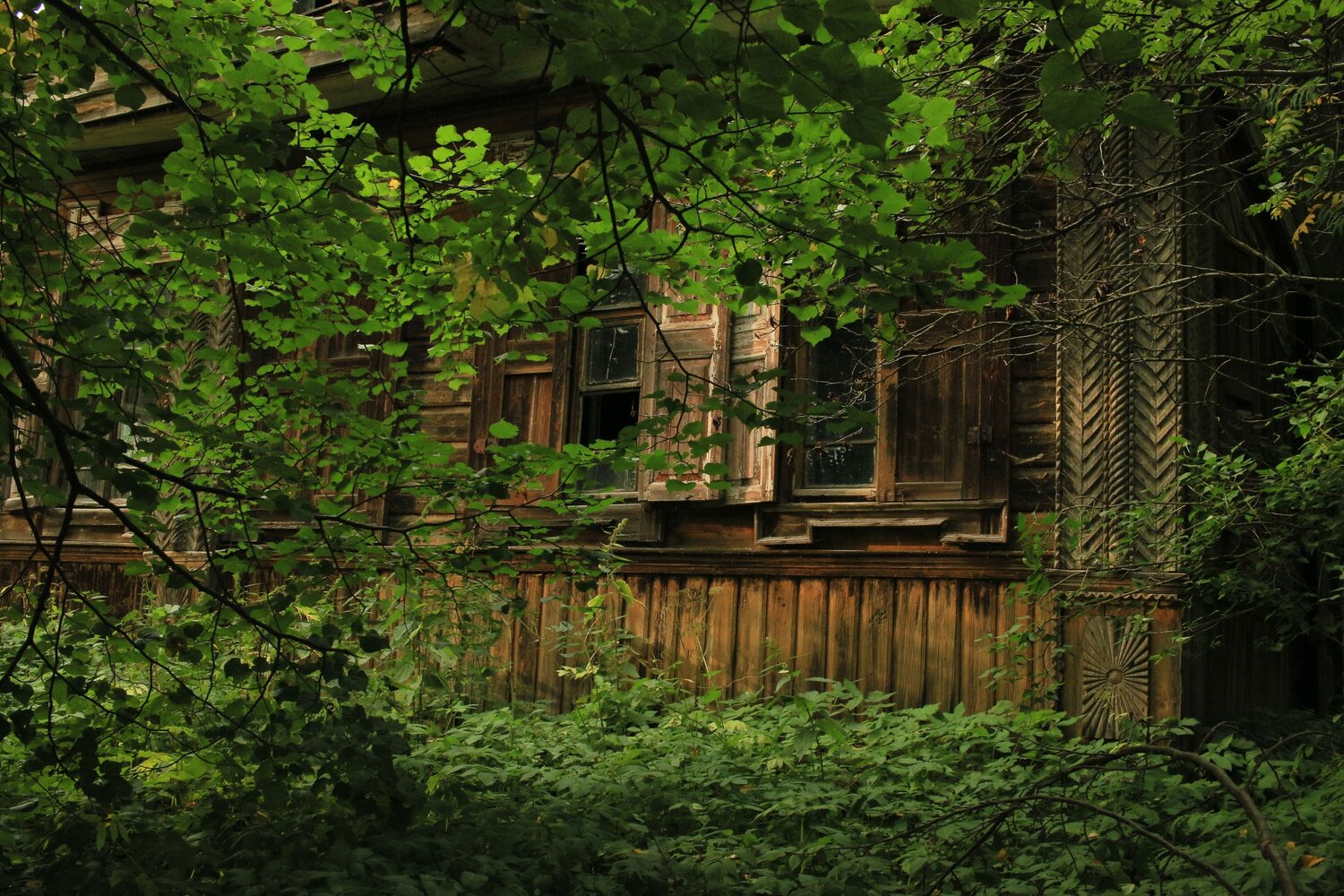 Photo #14050521