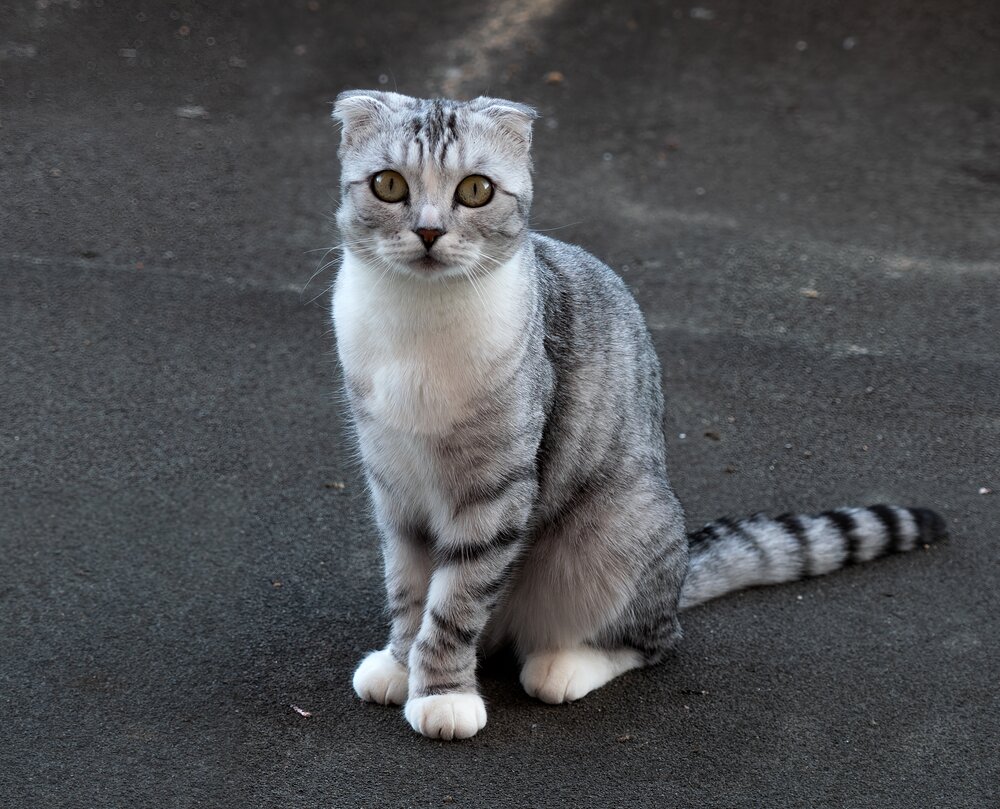 Photograph by Дима Скрипачев