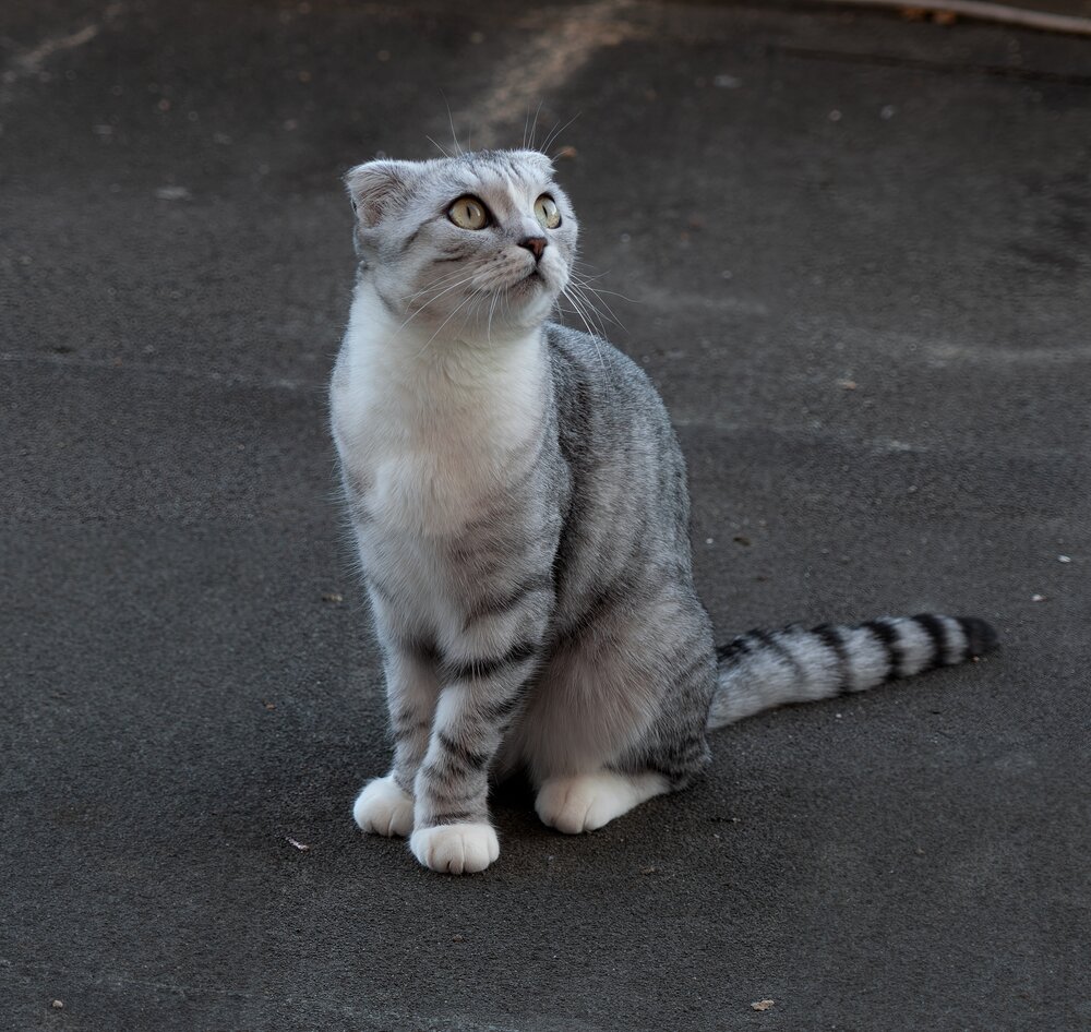 Photograph by Дима Скрипачев