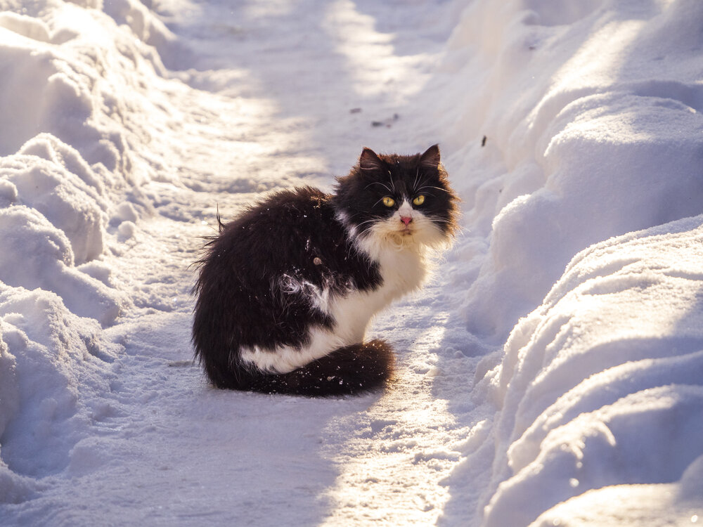 Photograph by Надежда Михайлина