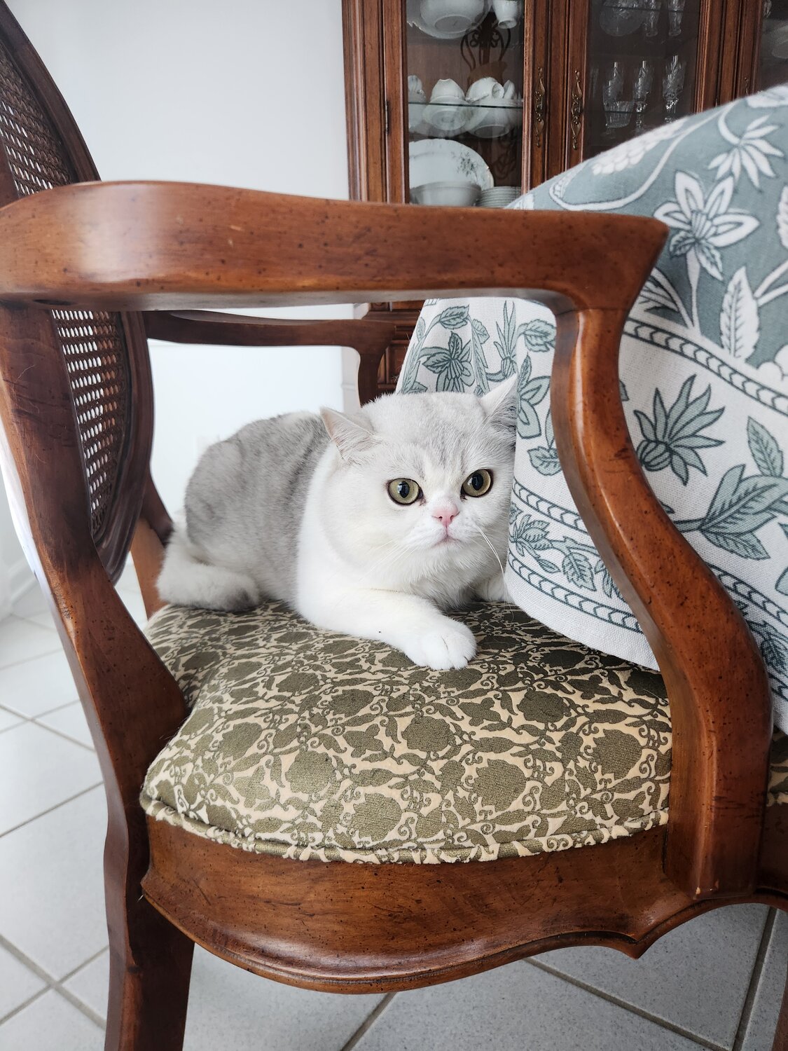 Photo #14050574