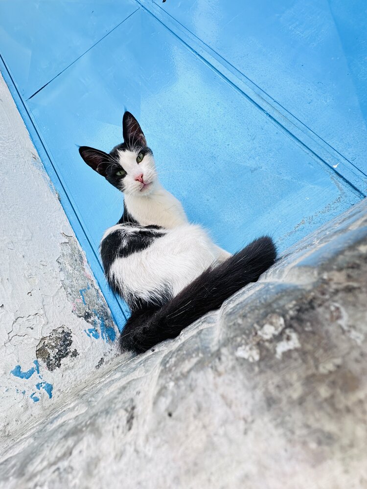 Photograph by NATASHA IO