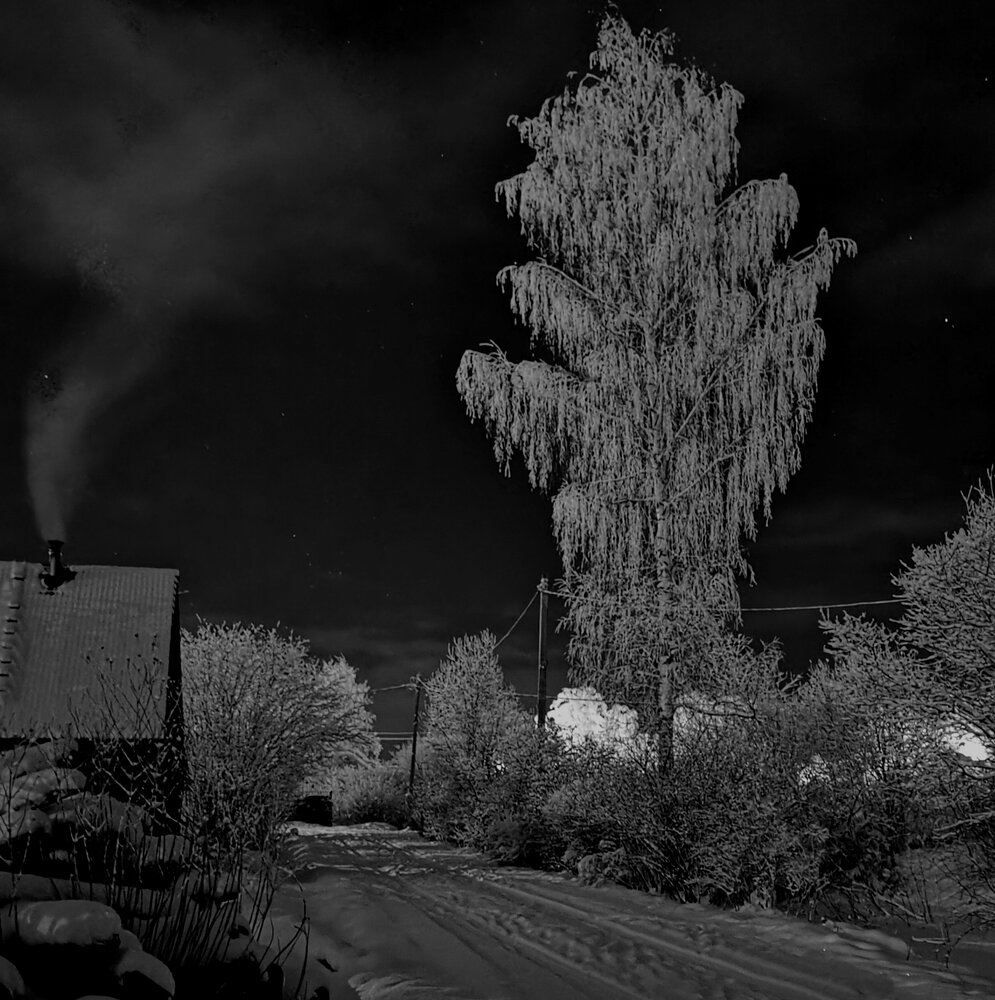Photograph by Ольга