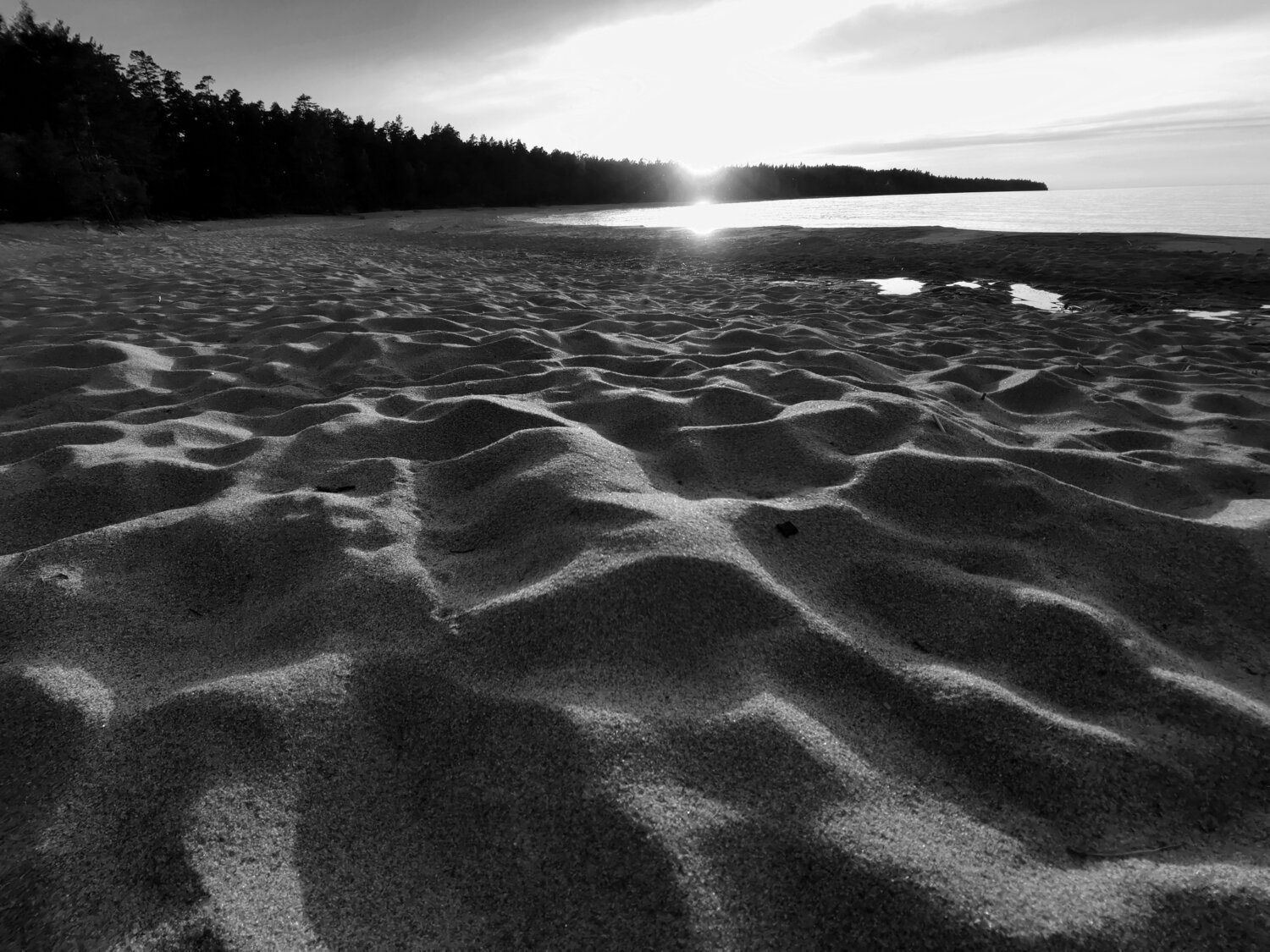 Photo #14050629