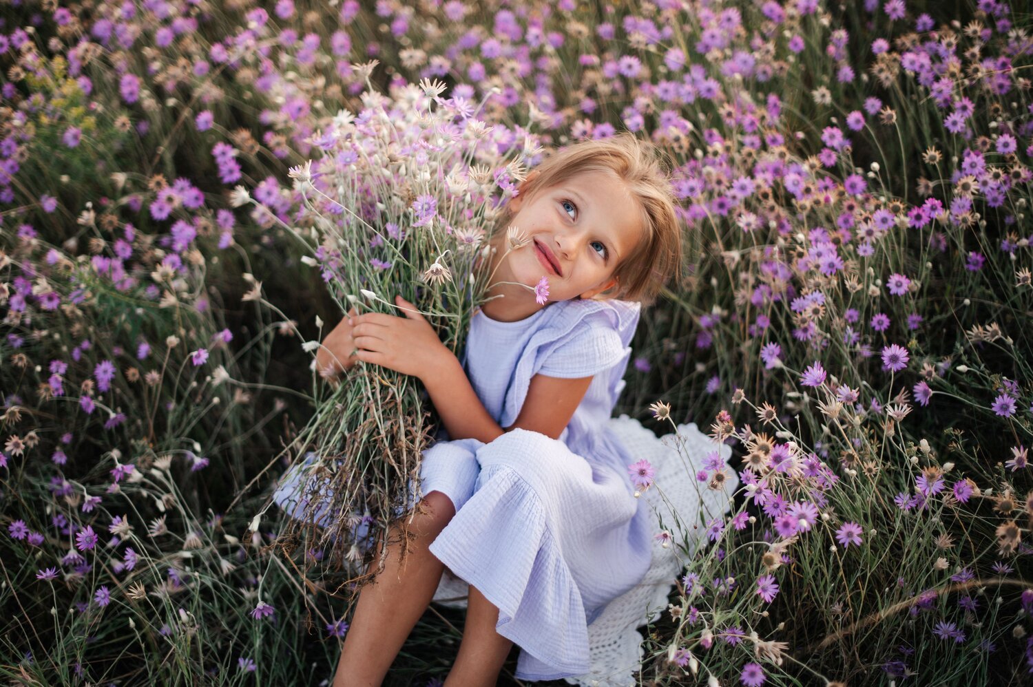 Photo #14050634