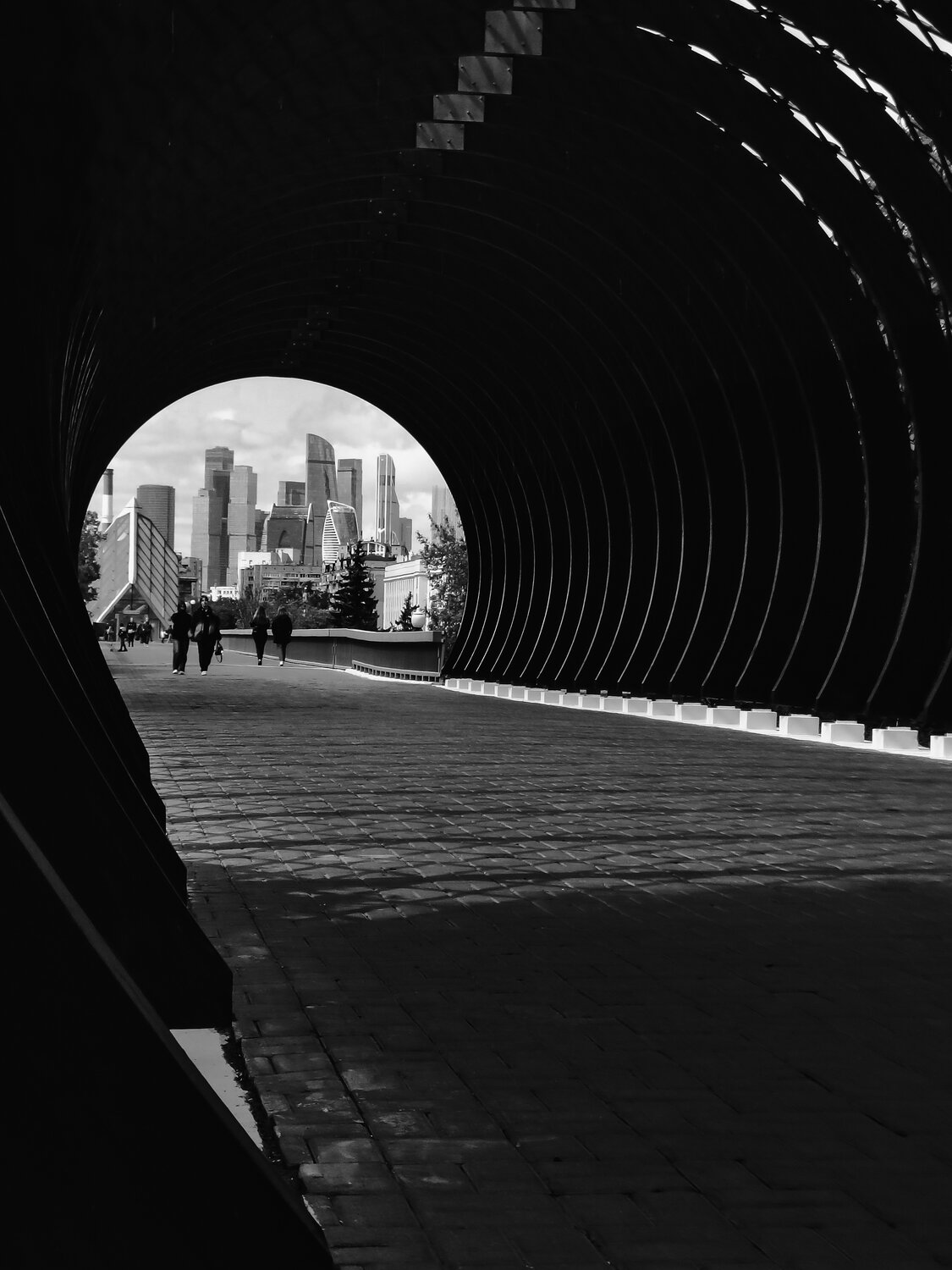 Photo #14050665