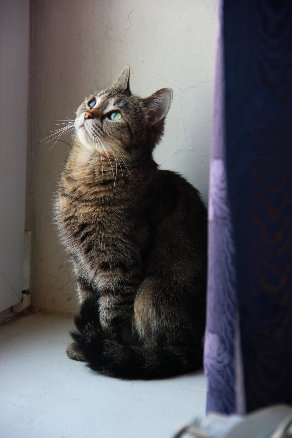 Photo #14050788