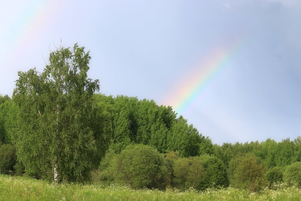 Photograph by Владимир Перминов