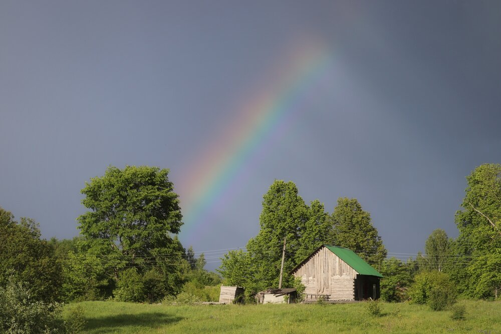 Photograph by Владимир Перминов