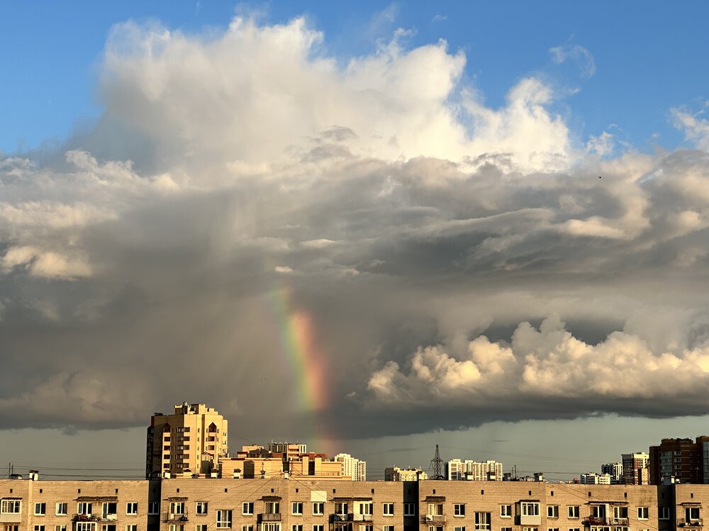 Photograph by NATASHA IO