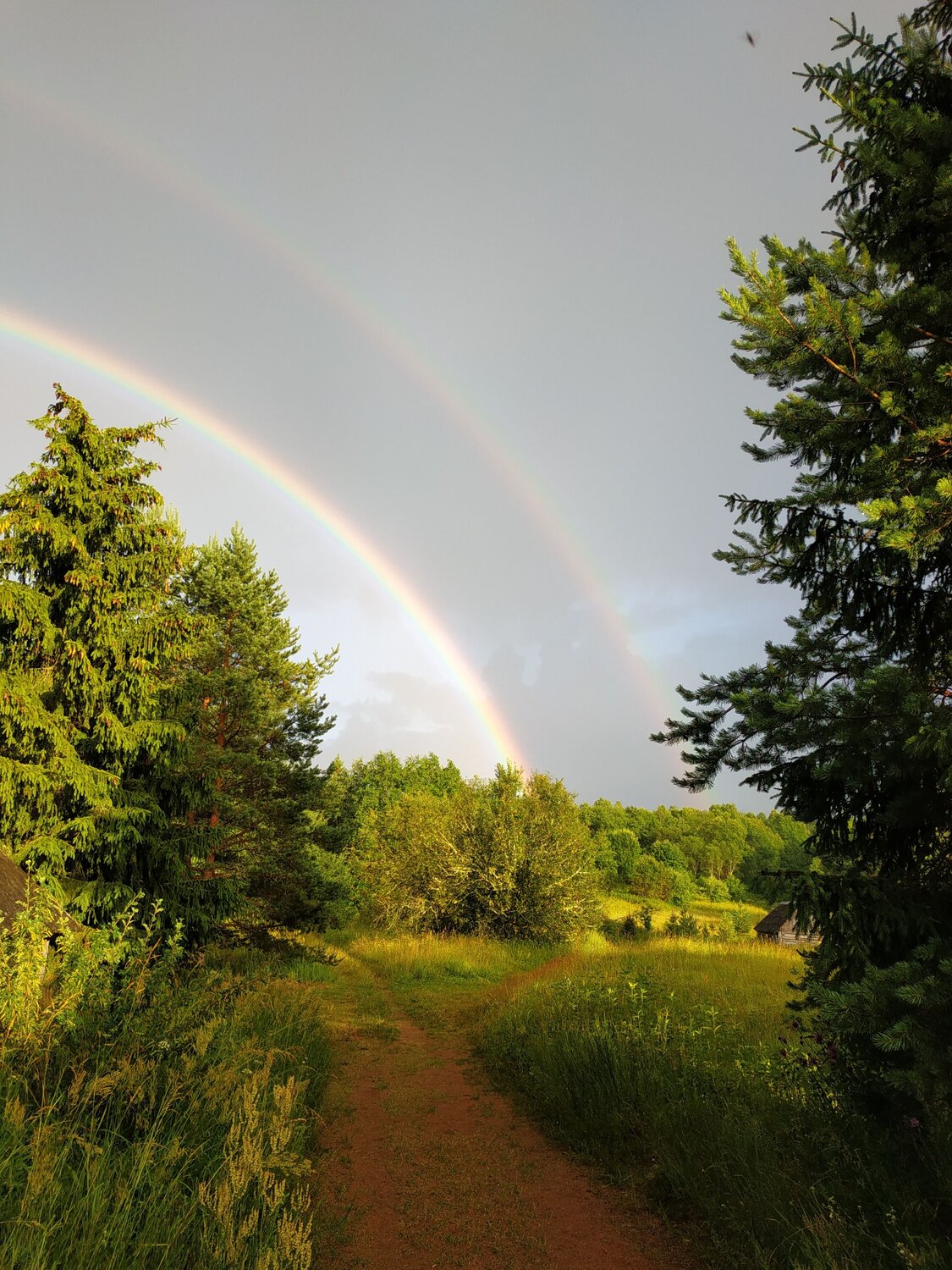 Photo #14050849