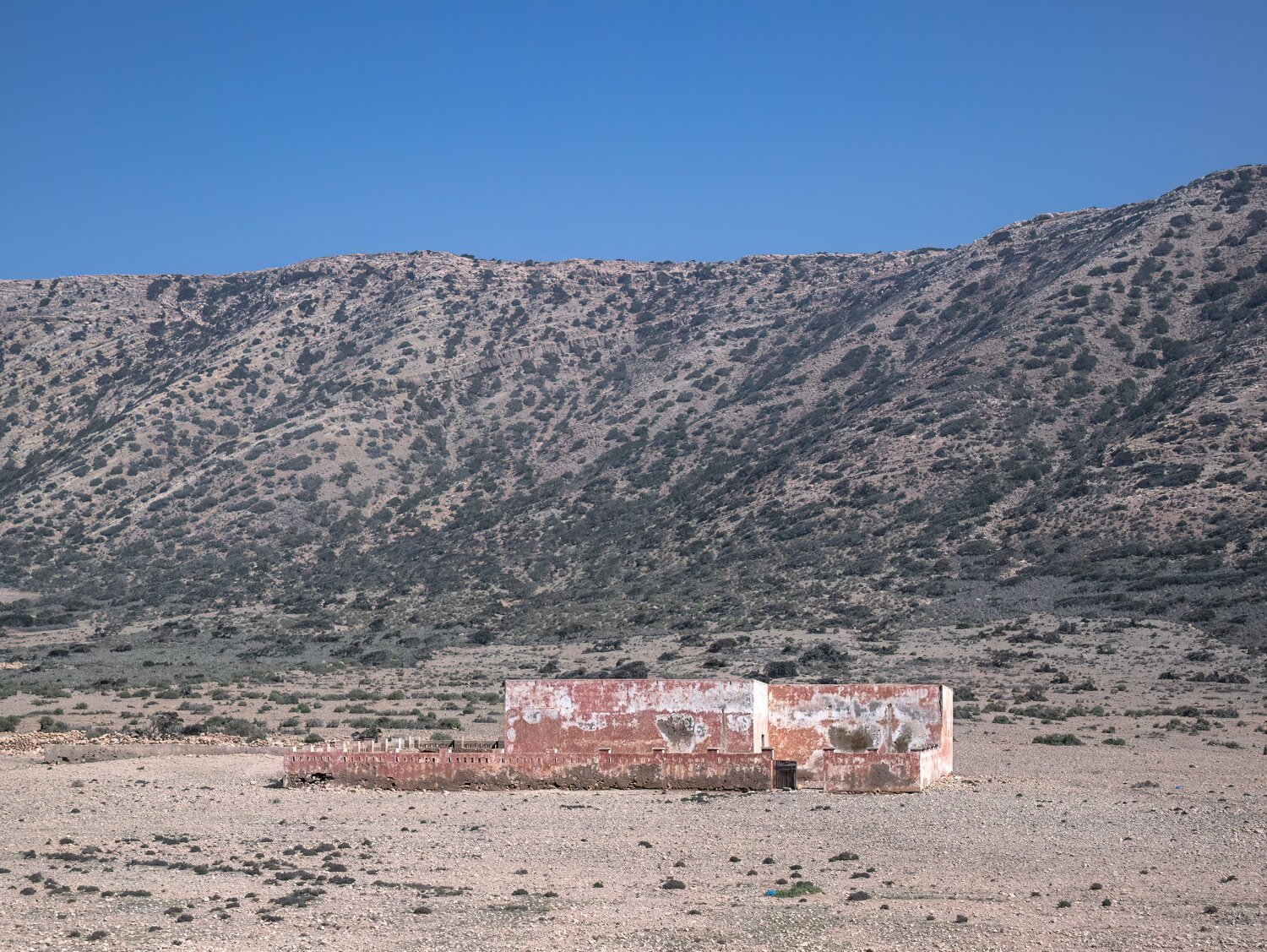 Photo #14050851