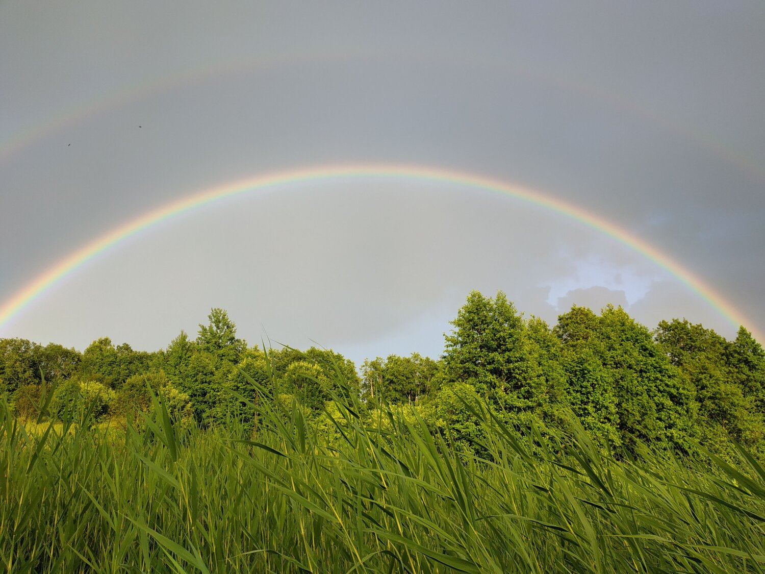 Photo #14050852