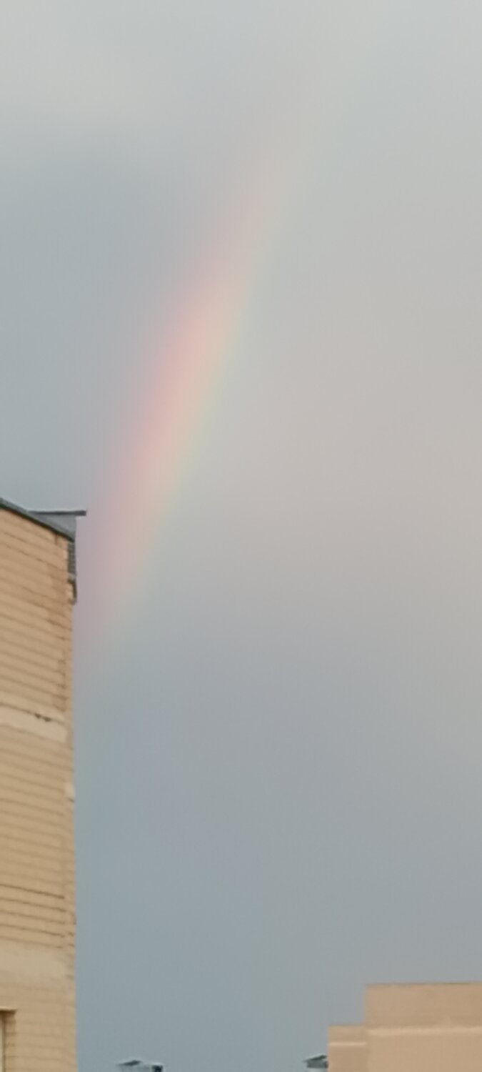 Photo #14050869