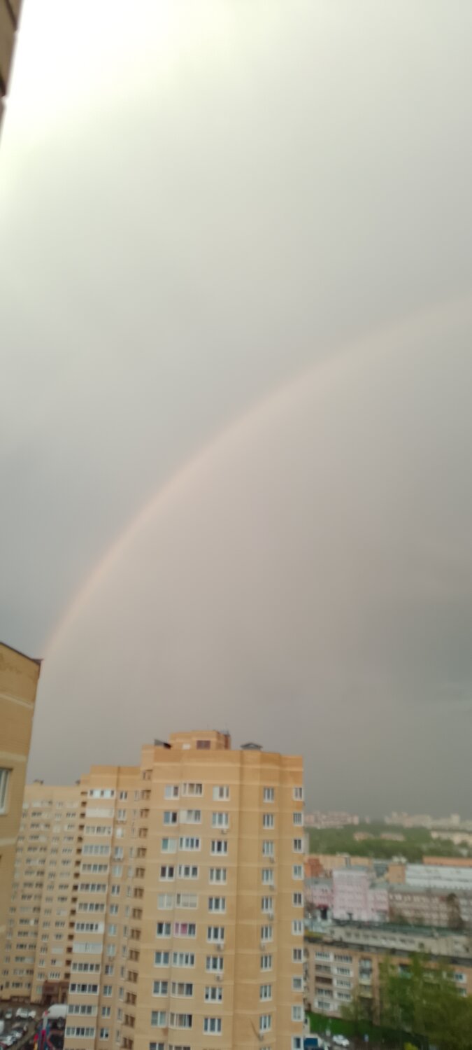 Photo #14050870