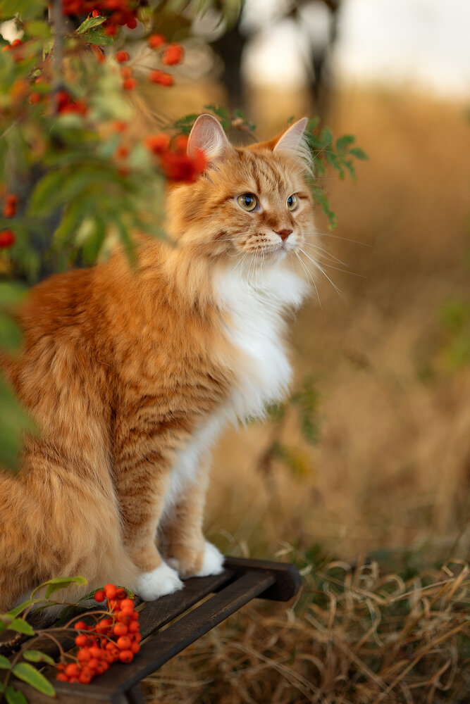 Photograph by Елена Косинова