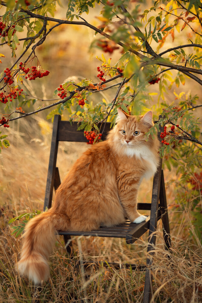 Photograph by Елена Косинова