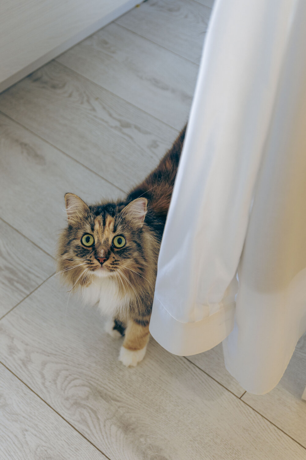 Photo #14050893