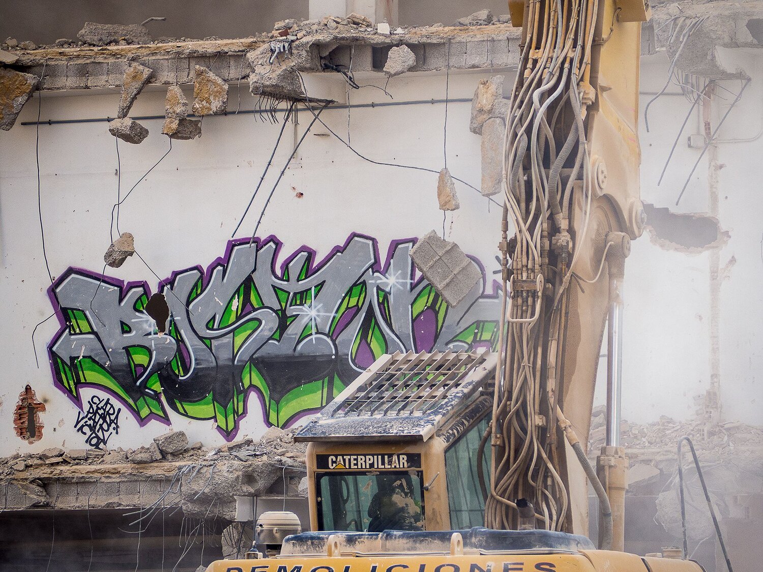 Photo #14050922