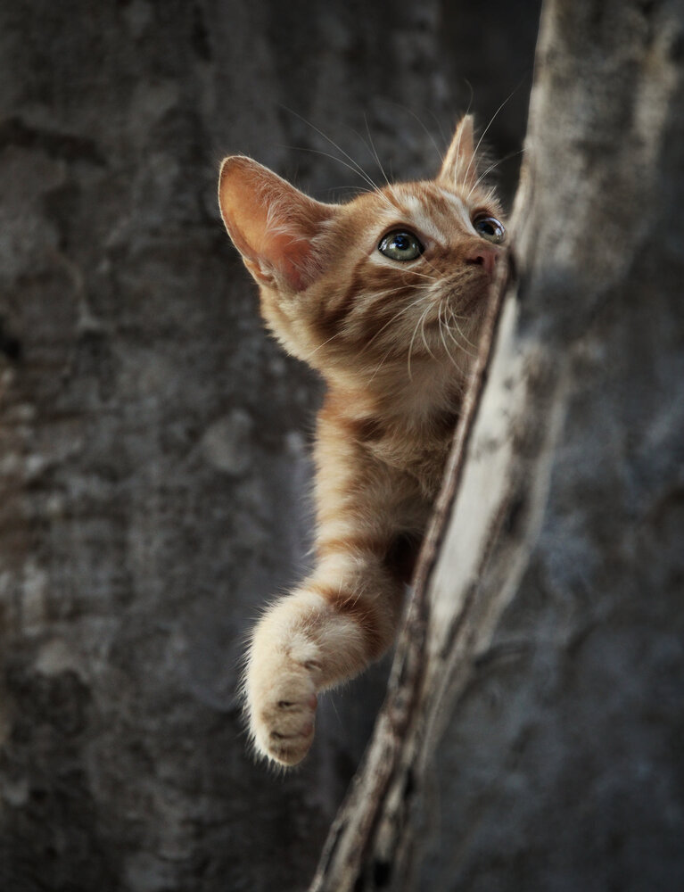Photograph by Nela Conde