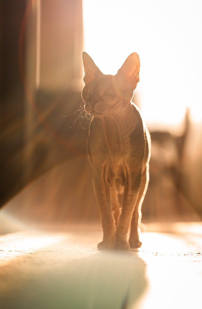 Photograph by Дмитрий Грошиков