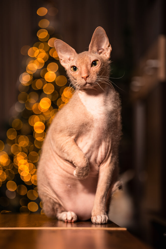 Photograph by Дмитрий Грошиков