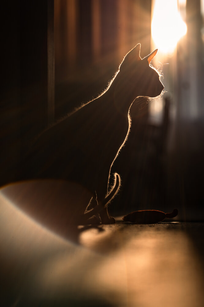 Photograph by Дмитрий Грошиков