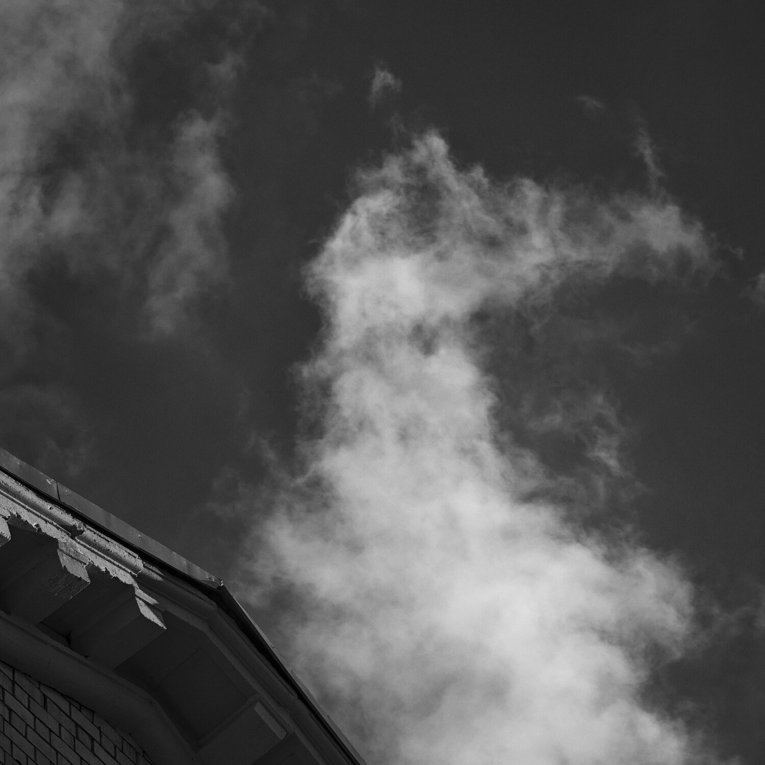 Фотография #14051171