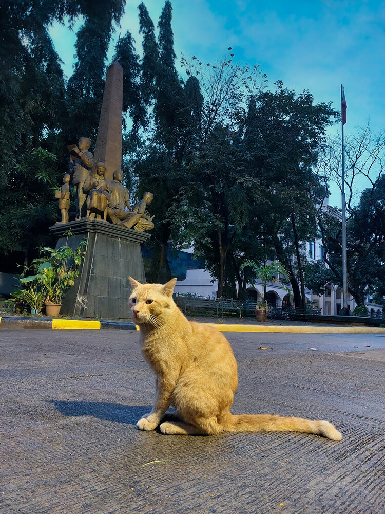 STATUE LIKE