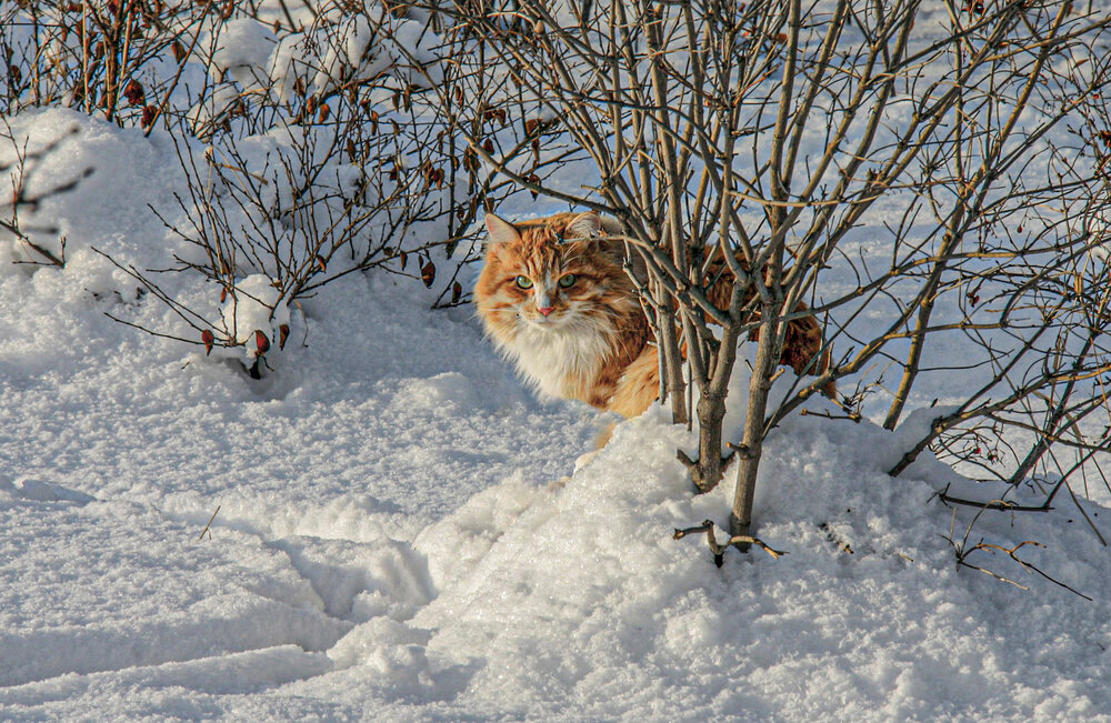 Photograph by Юрий Борик