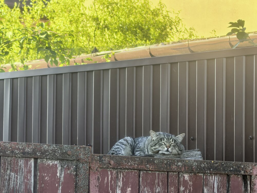 Photograph by Елена Охапкина