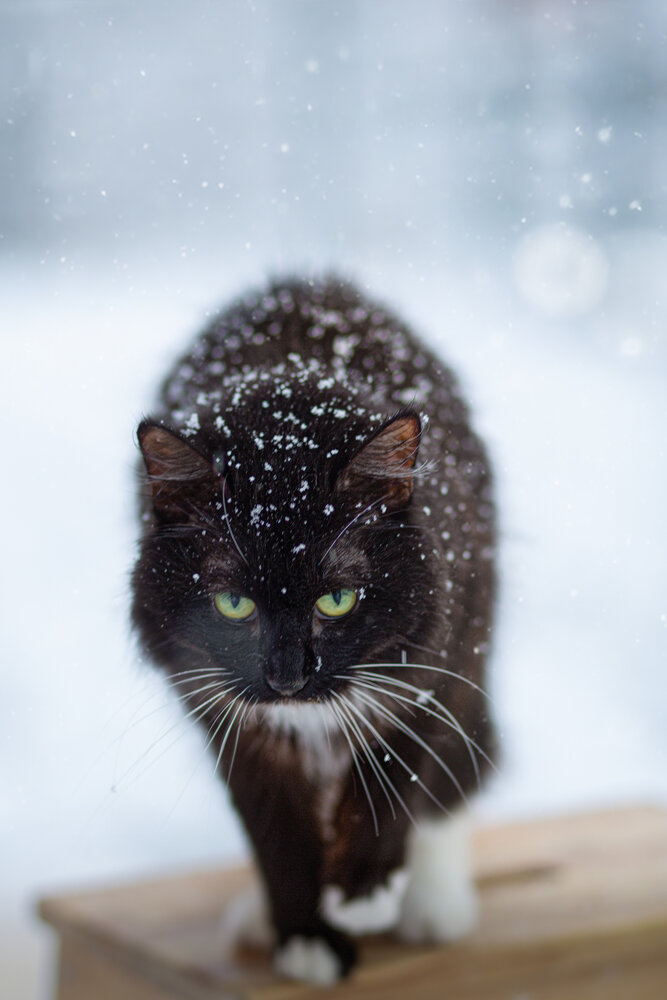 Photograph by Рязанцева Анастасия