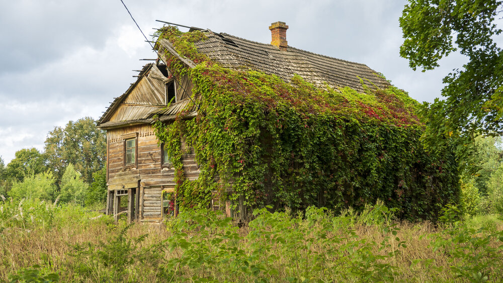 Photograph by Вовкин Сын