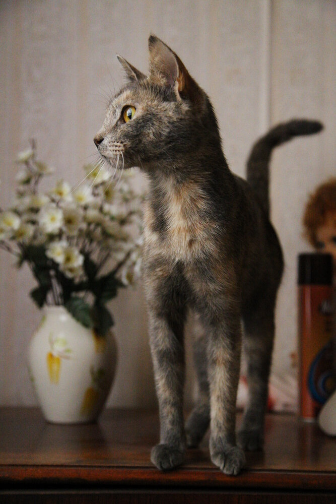 Photograph by Ксения Лепина