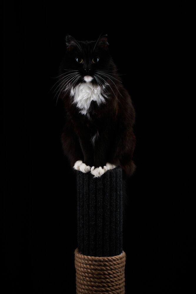 Photograph by Анатолий Замыслов