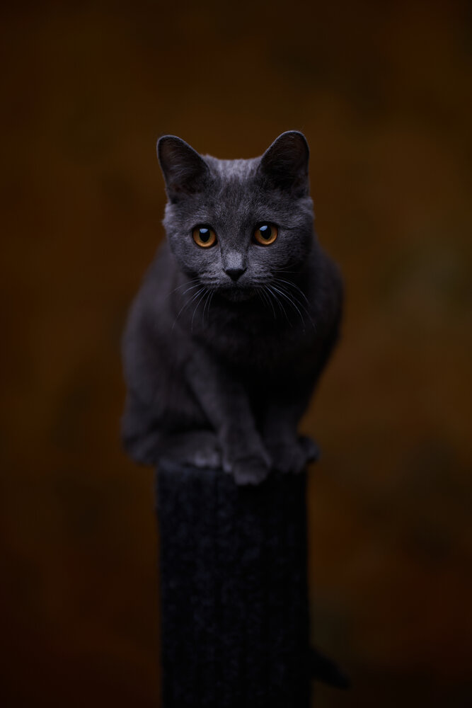 Photograph by Анатолий Замыслов