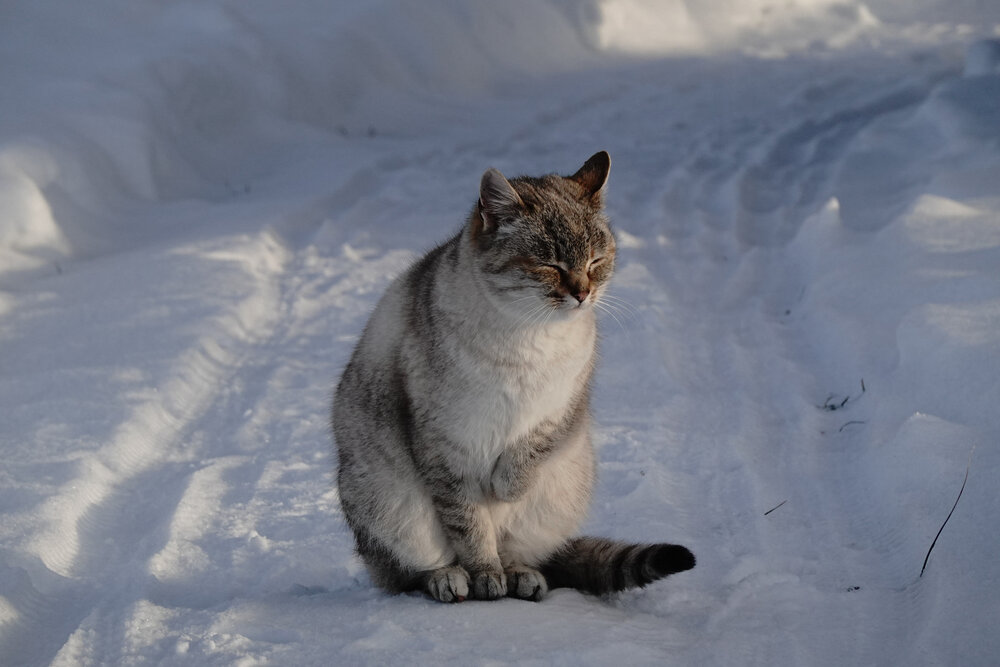 Photograph by Светлана Каравайская