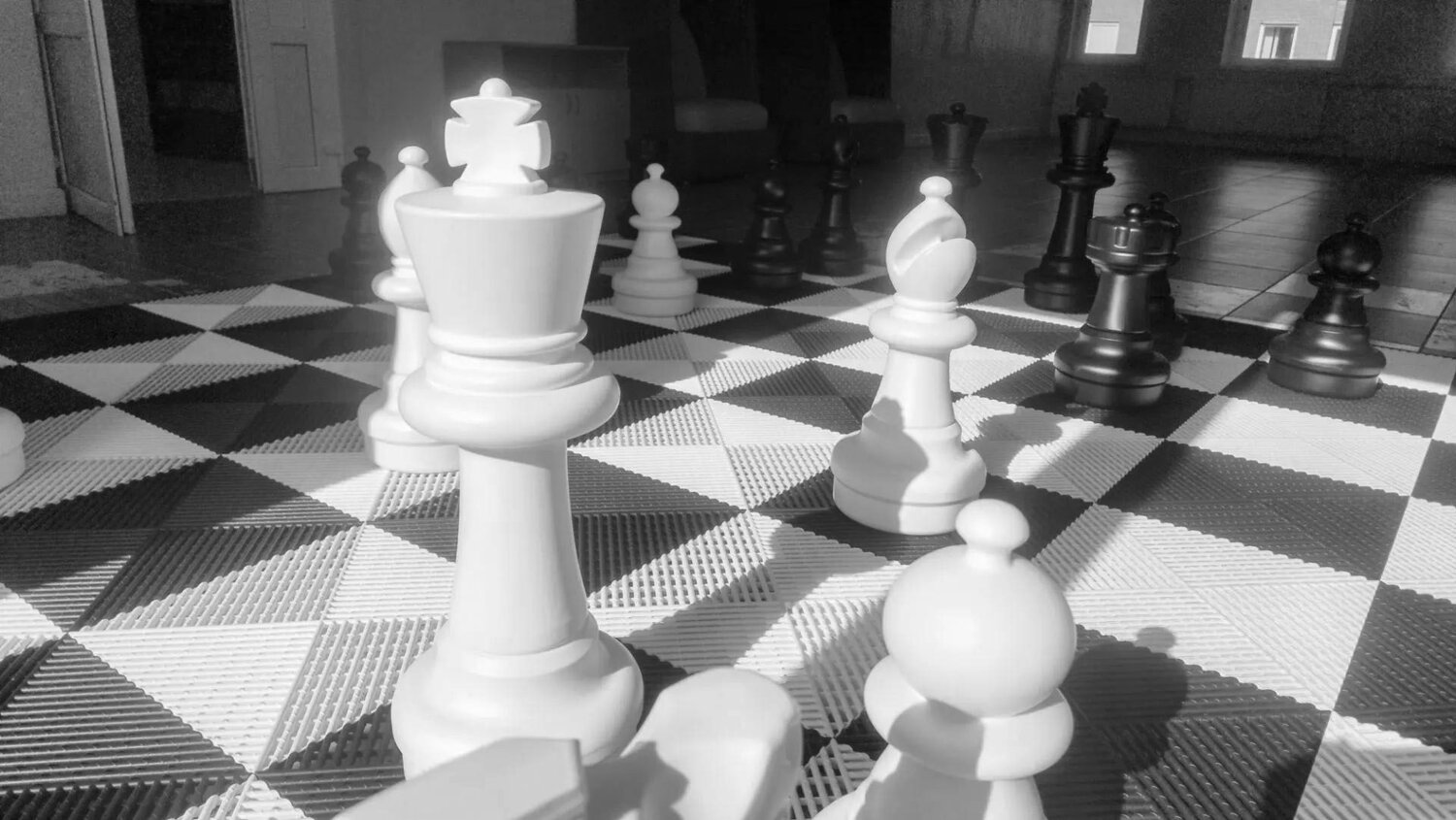 Photo #14051578