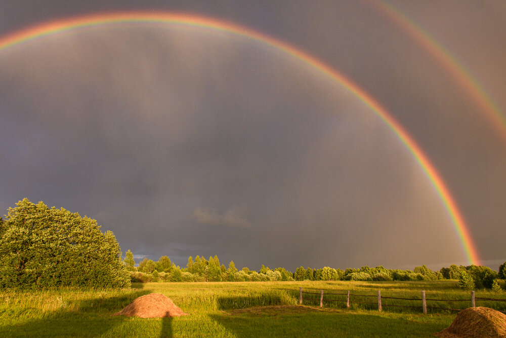 Photograph by Романов Денис