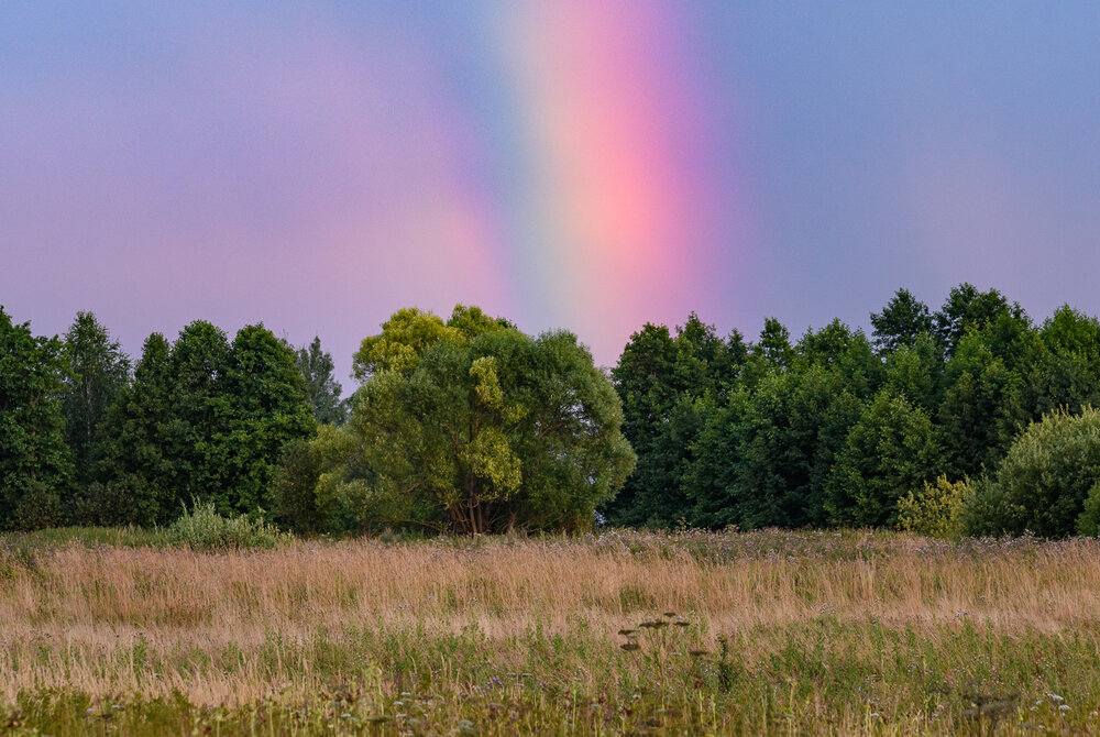 Photograph by Романов Денис
