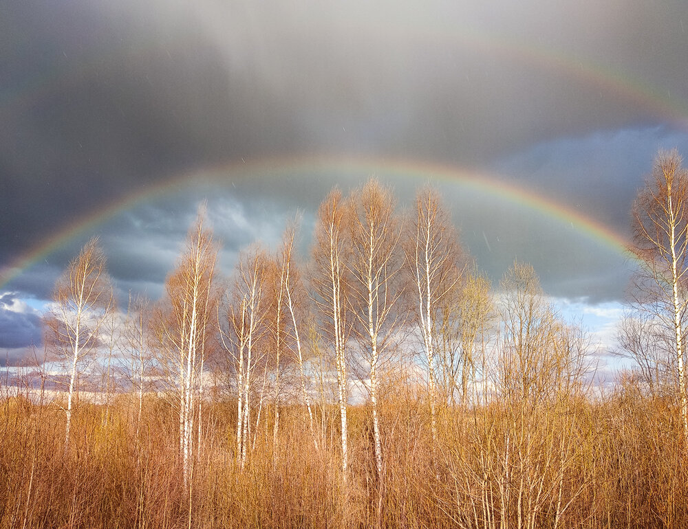 Photograph by Романов Денис