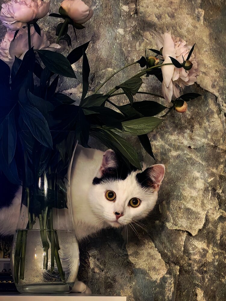 Photograph by Анна Шаповалова