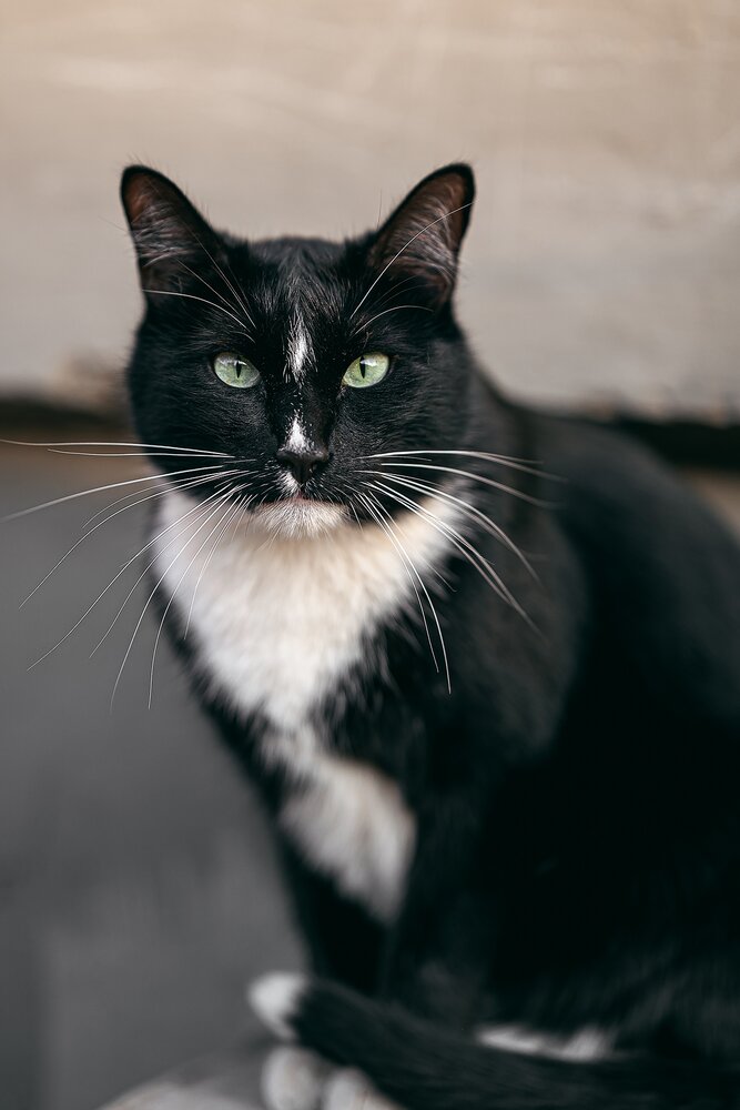 Photograph by Ильдар Валитов