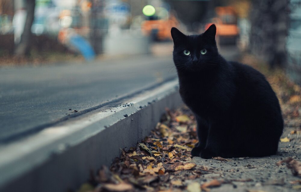 Photograph by Щербак Анатолий