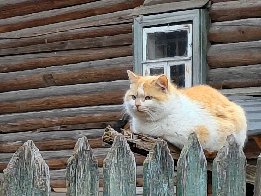 Photograph by Валентина Анюхина