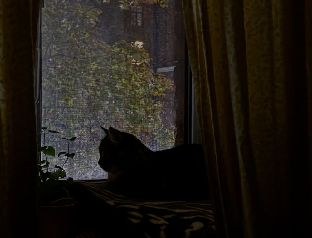 Photograph by Kirill E.